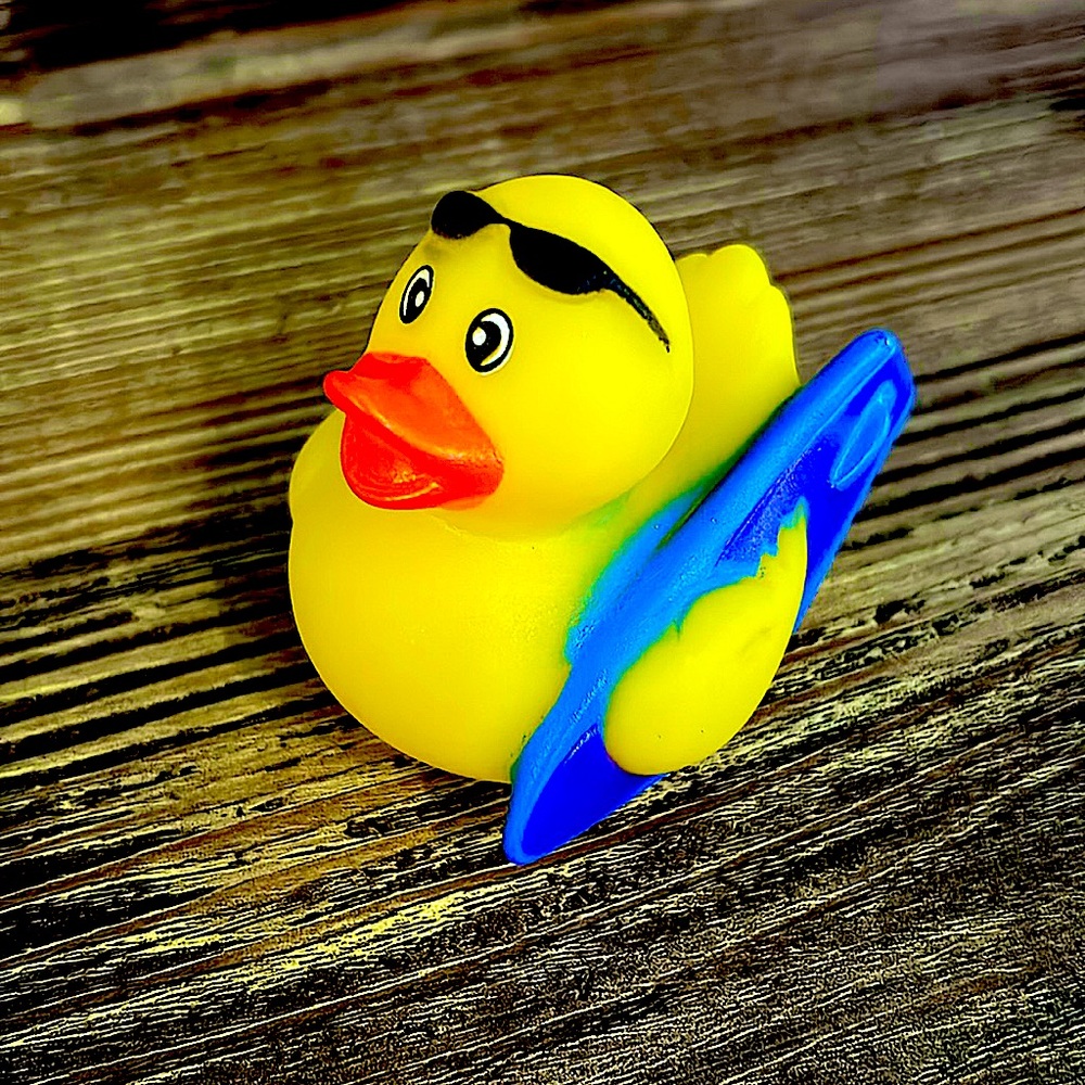 This luxury duck was obtained at my pizza restaurant. It’s very lovable.